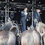 Paardenmarkt Valkenburg ZH De verloting
