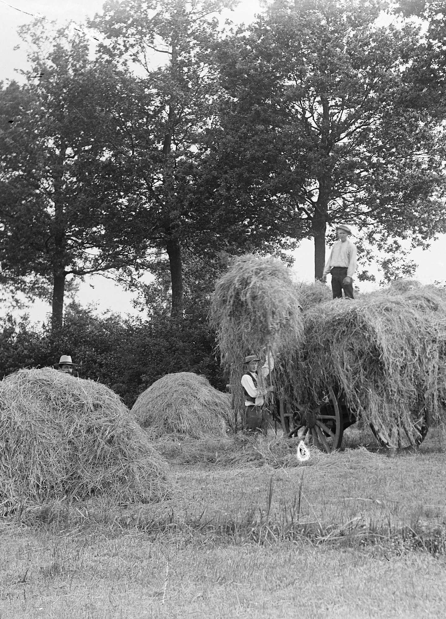 optasten hooiwagen ca 1900