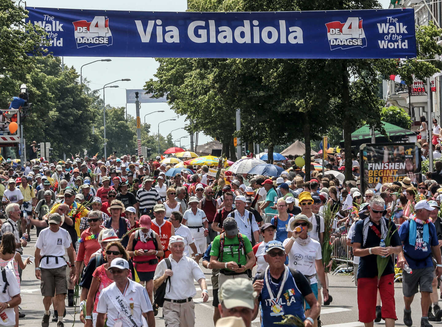 037 Nijmeegse Vierdaagse in tekst