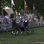 Roldermarkt Paardenfestijn